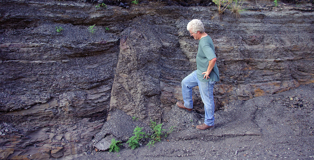 Large, in-place fossil tree in eastern Kentucky. If this tree was in the roof of a mine, it would form a kettlebottom.